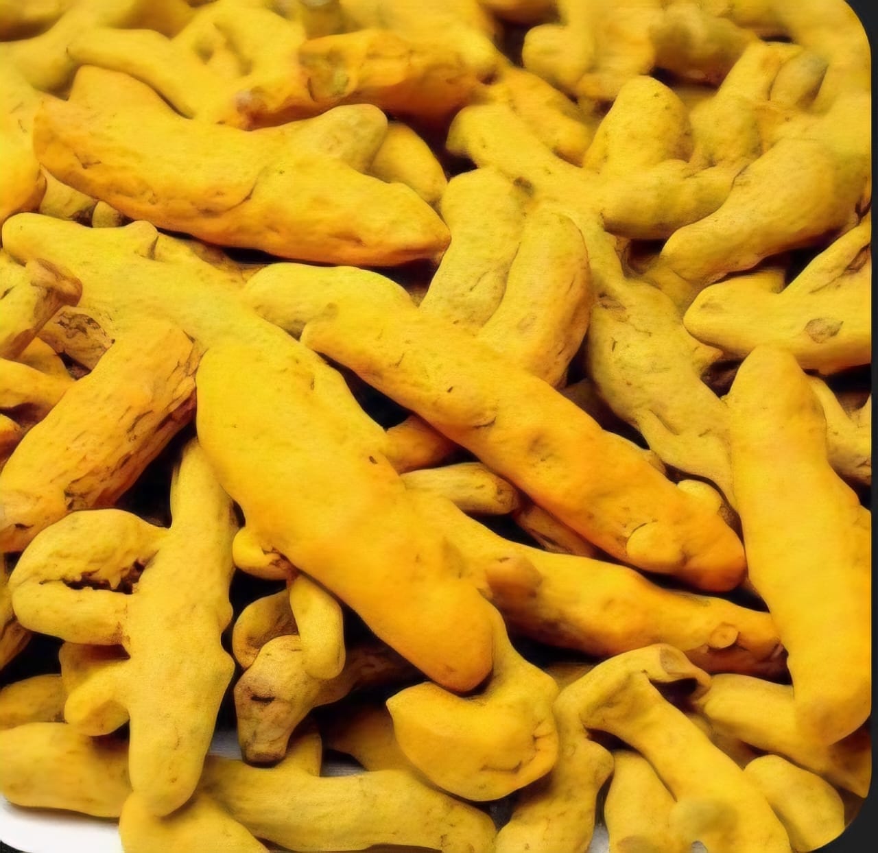 Whole Dried Turmeric
